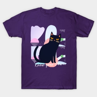 Black Cat Know your power T-Shirt